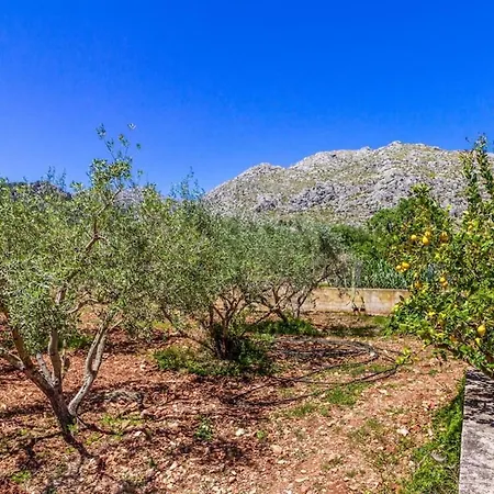 Beautiful In The Countryside Near By Renthousing Villa Pollença